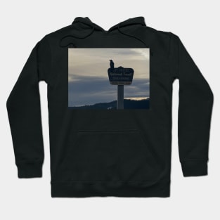 Mt hood beauty Hoodie